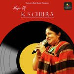 Magic Of K. S. Chithra - Afsar Song Download